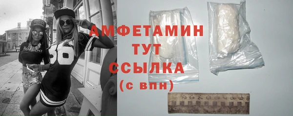 твердый Абаза