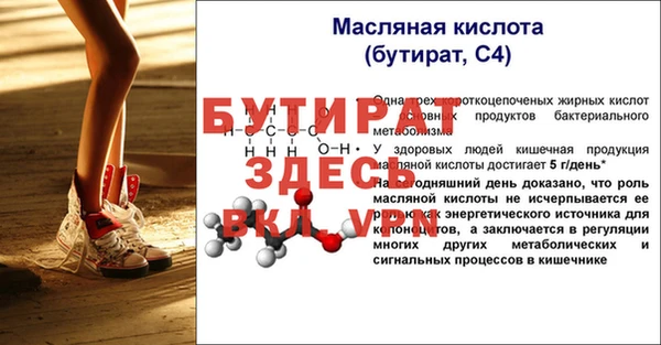 прущие грибы Абинск
