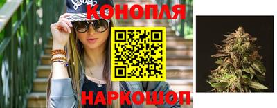 дмт Абакан