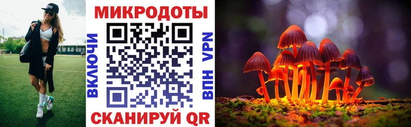 Галлюциногенные грибы MAGIC MUSHROOMS  Алатырь 
