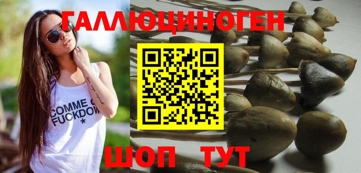 Псилоцибиновые грибы Psilocybine cubensis  Псилоцибиновые грибы Psilocybe  Вход с VPN  Алатырь 
